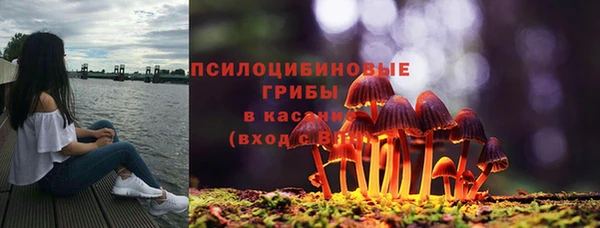 мдпв Пестово