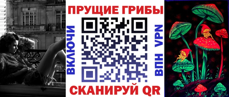 Псилоцибиновые грибы Psilocybine cubensis  Микунь 