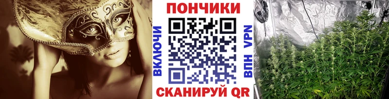 Бошки Шишки SATIVA & INDICA Микунь